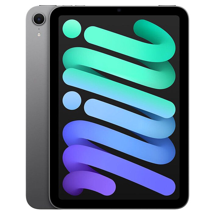 iPad mini 128 Go
